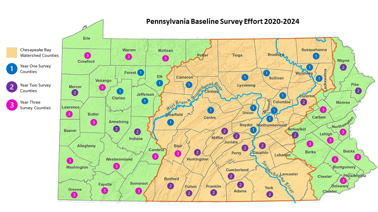 baseline-survey-effort-2020-2024